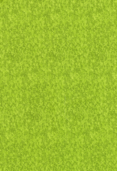 Grass Fresh Green